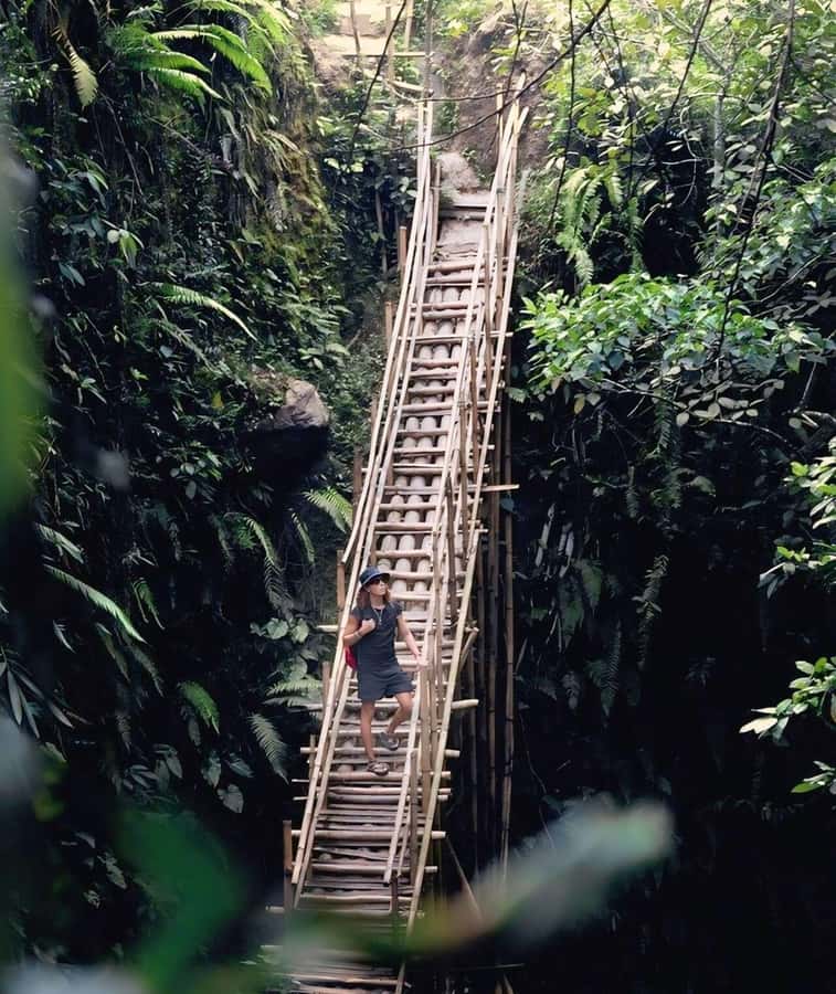 Tetebatu : Walk on Rice Terrace, Waterfall and Black Mongky - What the $27 price really covers