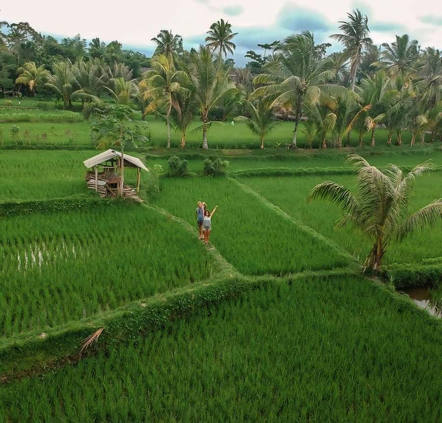 Tetebatu : Walk on Rice Terrace, Waterfall and Black Mongky - How to prepare for a six-hour walk