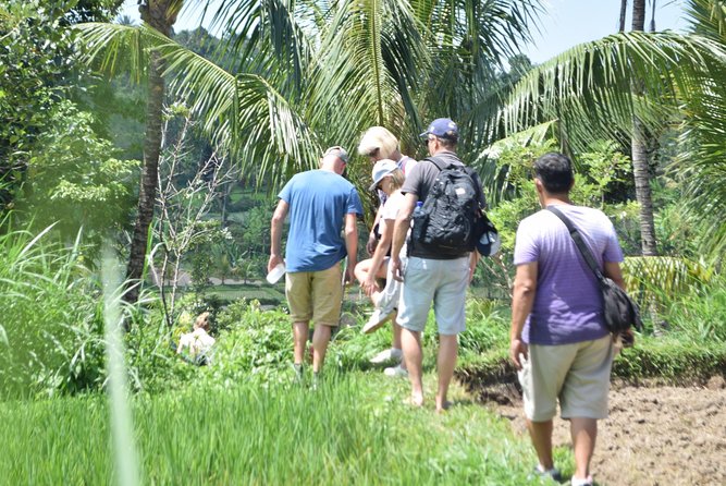 Tetebatu Walking Tour - Rice Terraces, Waterfall & Monkey Forest - The 7:00 a.m. pickup from Senggigi, Mataram, or Kuta