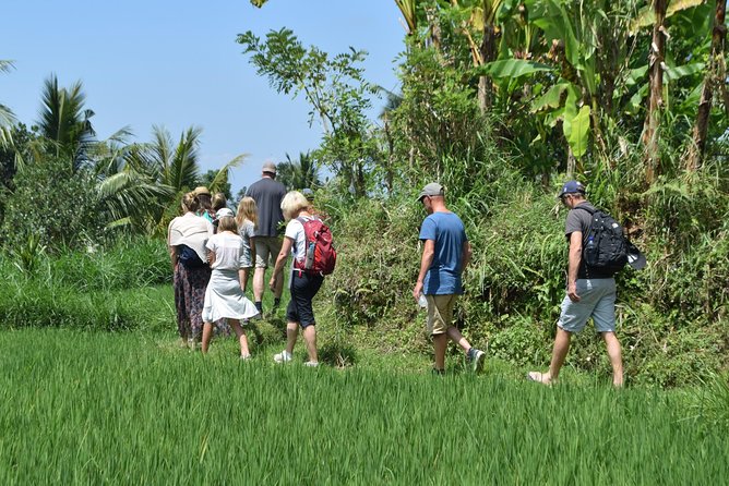 Tetebatu Walking Tour - Rice Terraces, Waterfall & Monkey Forest - Tetebatu Waterfall, with more time to explore