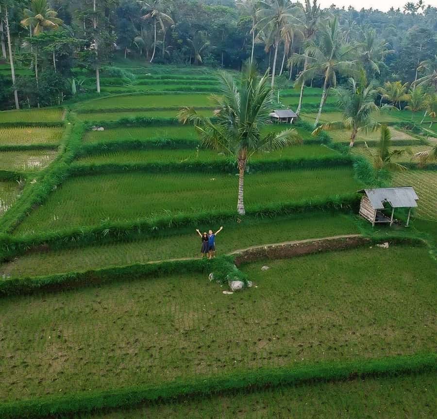 Tetebatu : Waterfall, Rice Fields & Monkey Forest Full day - Looking for black monkeys in the forest