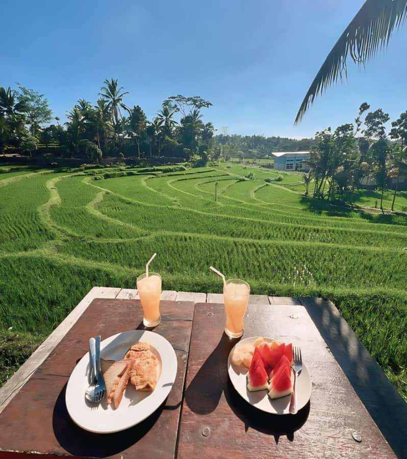 Tetebatu : Waterfall, Rice Fields & Monkey Forest Full day - What the guides add to the day