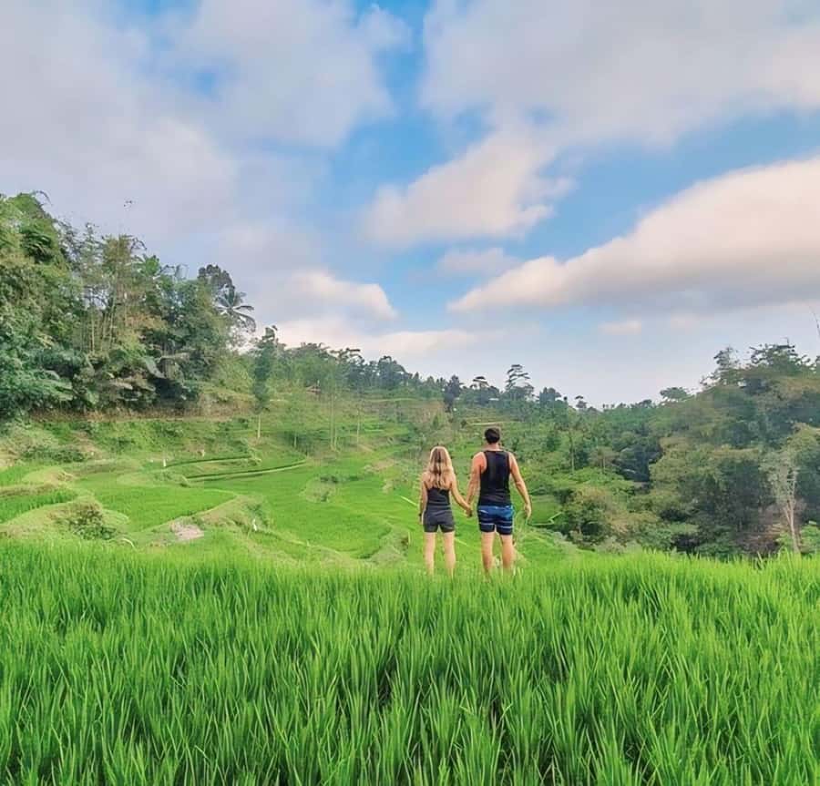 Tetebatu : Waterfall, Rice Fields & Monkey Forest Full day - The early start and two-hour transfer