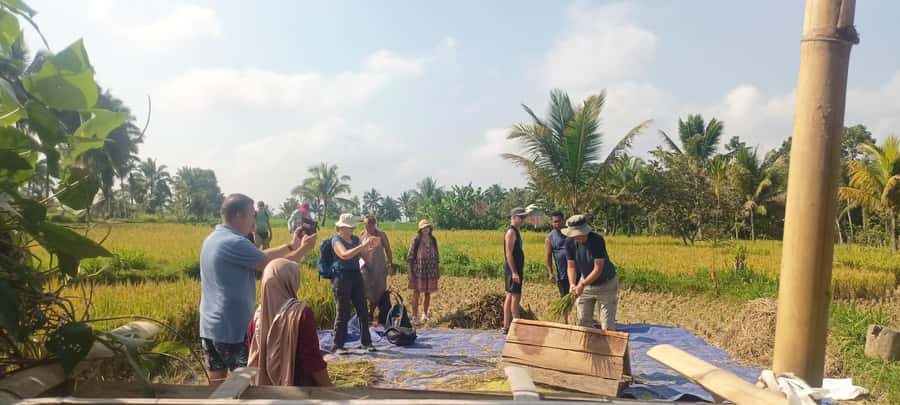 Tetebatu: Waterfalls, Spices, Rice Terrace, Monkey forest - Bamboo craft and village skills