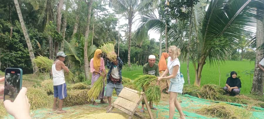 Tetebatu: Waterfalls, Spices, Rice Terrace, Monkey forest - The walking, weather, and what to pack