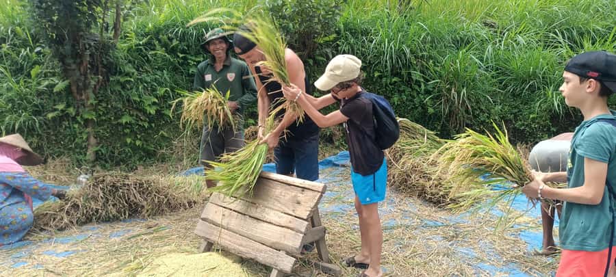 Tetebatu: Waterfalls, Spices, Rice Terrace, Monkey forest - Spice plants, herbal drinks, and local flavors