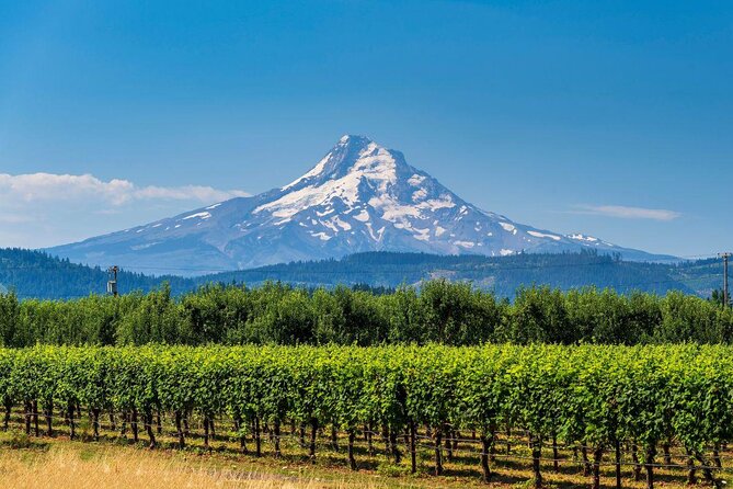 The Hood-Columbia Loop: Timberline, Orchards, and Waterfalls - Key things to know before booking