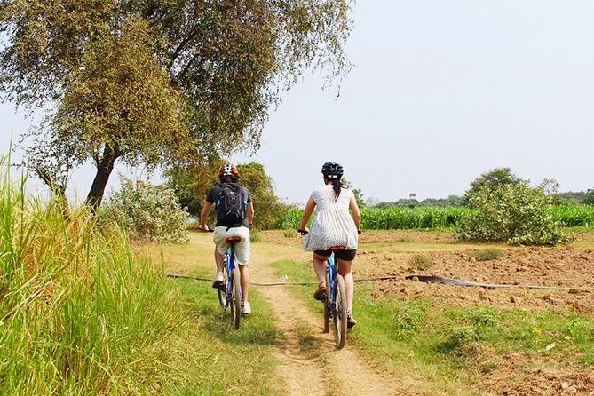 The Mekong Island Biking Tour and Lunch with farmers - Farms, village lanes, and everyday Cambodian life