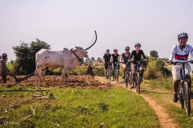 The Mekong Island Biking Tour and Lunch with farmers - A Buddhist temple and a wider view of local life