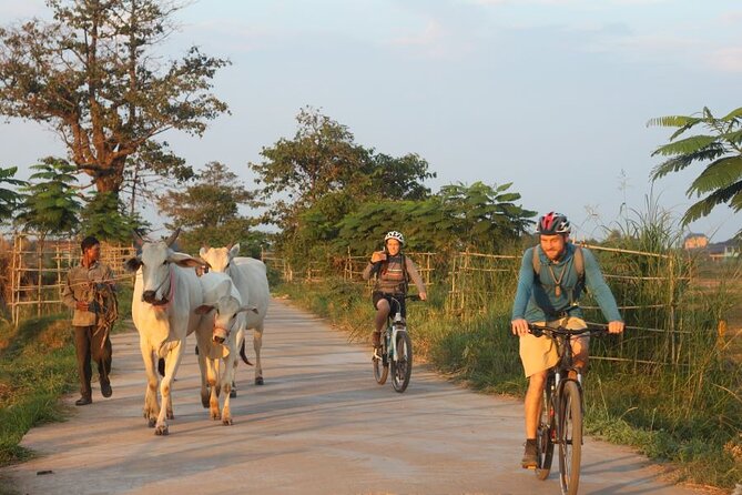 The Mekong Island Biking Tour and Lunch with farmers - What the six-hour ride feels like