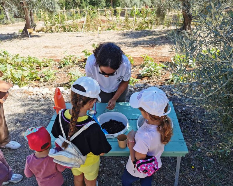 The Olive Oil Experience @ Lefkada Micro Farm - Should you book the Lefkada olive oil experience?