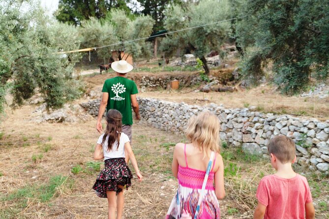 The Olive Oil Experience @ Lefkada Micro Farm - Timing, group size, and the meeting point