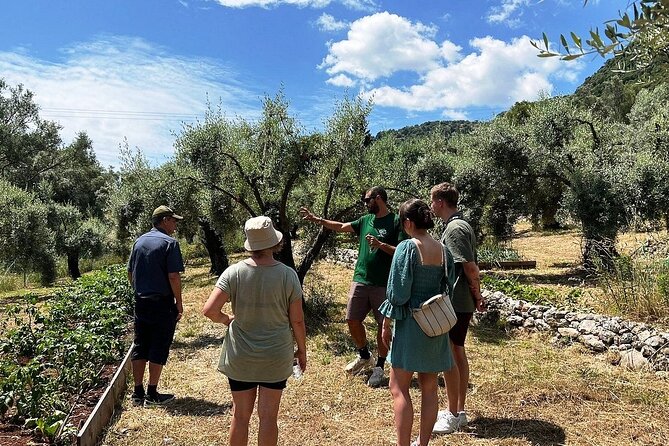 The Olive Oil Experience @ Lefkada Micro Farm - Who will get the most from this farm experience