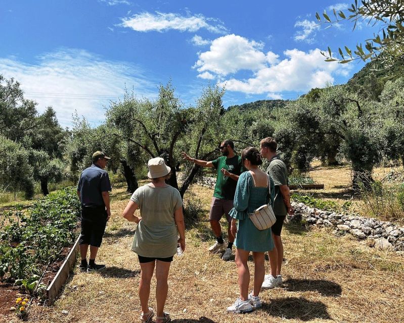 The Olive Oil Experience @ Lefkada Micro Farm - Is $54 good value?