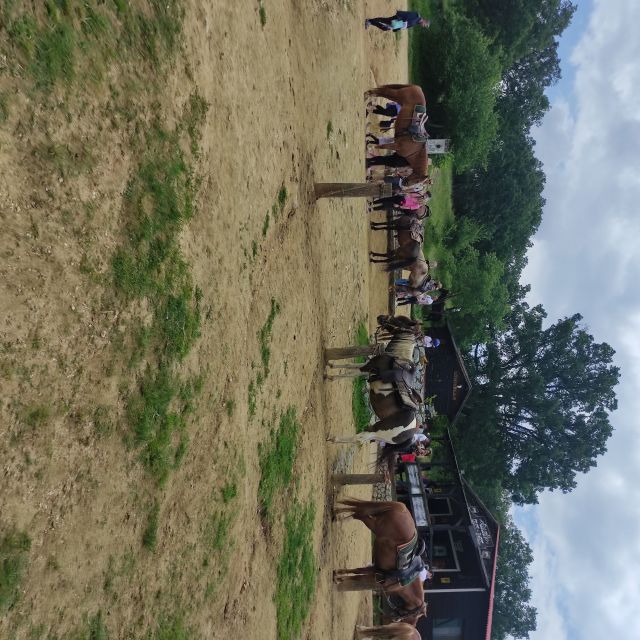 Thessaloniki:Horse Riding in a farm - A quiet farm trip just outside Thessaloniki