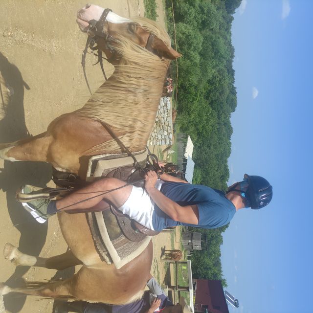 Thessaloniki:Horse Riding in a farm - Practical details to know before you book