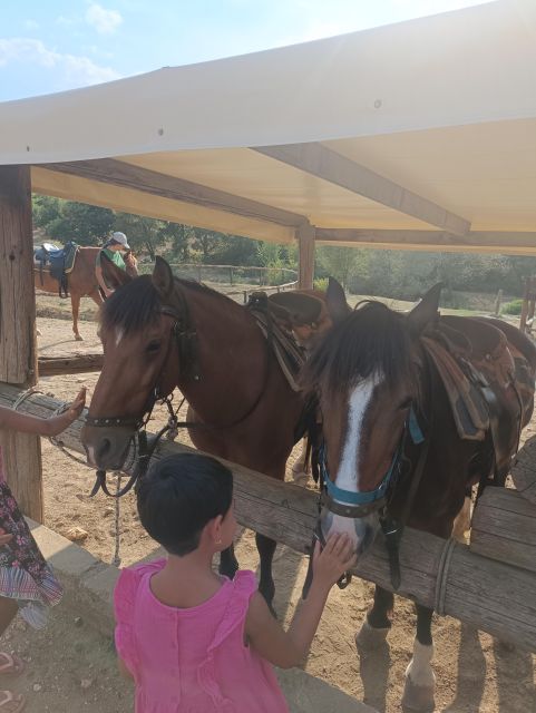 Thessaloniki:Horse Riding in a farm - The 40-minute ride through the countryside