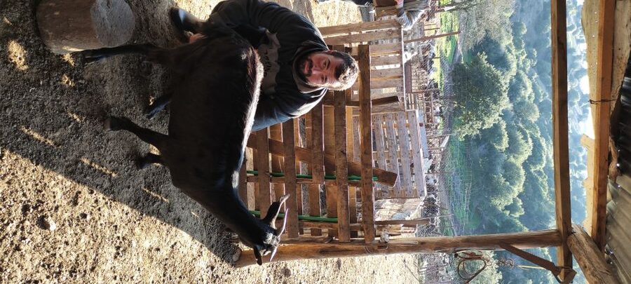 Thessaloniki: Visit a Farm and a traditional Village - Why families and animal lovers will enjoy it
