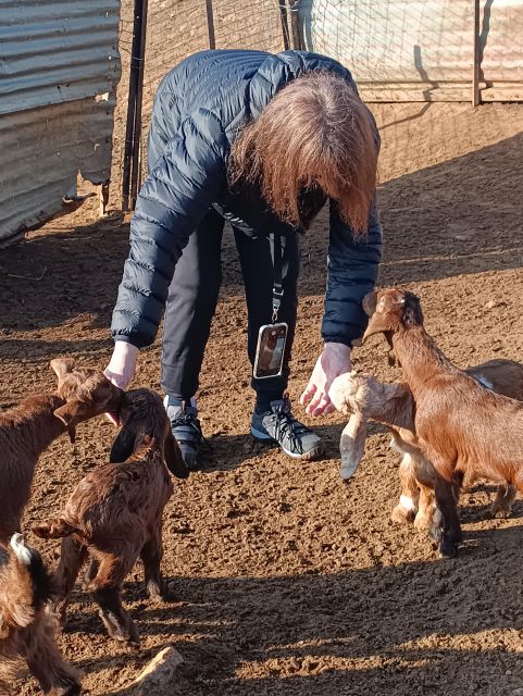 Thessaloniki: Visit a Farm and a traditional Village - A good fit for team building and small groups