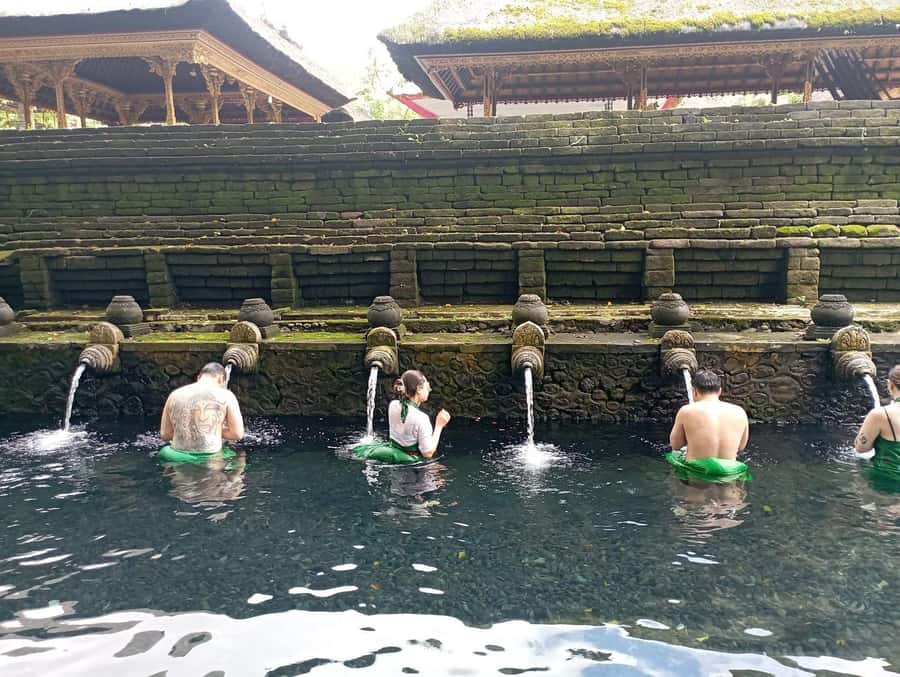 Tirta Empul: Highlights Tour with Cleansing & Rice Terrace - Key points at a glance