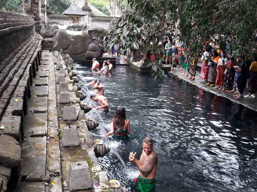 Tirta Empul: Highlights Tour with Cleansing & Rice Terrace - Who should book this Bali day tour