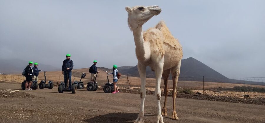 Tiscamanita: Segway Tour, Aloe Vera Farm & Mills Museum - Simple preparation makes the ride better
