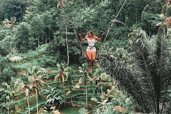 Tlaga Singha Infinity Pool, Jungle swing & Rice Terrace Trip - Who will enjoy this day most