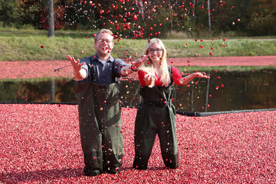Toronto: Muskoka Cranberry Farm and Hardy Lake Hike - The Hardy Lake hike is adjusted to the group