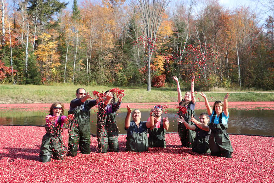 Toronto: Muskoka Cranberry Farm and Hardy Lake Hike - What $94 buys you, and what it does not