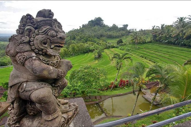 Tour: Besakih Temple-Kintamani Volcano-Water temple&Rice Terrace - The driver makes or breaks this format