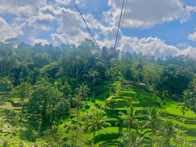 Tour full day ubud, water fall,coffe atv,and rice paddy - Coffee plantation: a short cultural stop