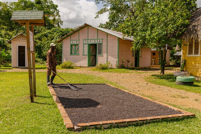 Tour in La Hacienda with Sports Activities and Buffet - Chairlift views from a mountain