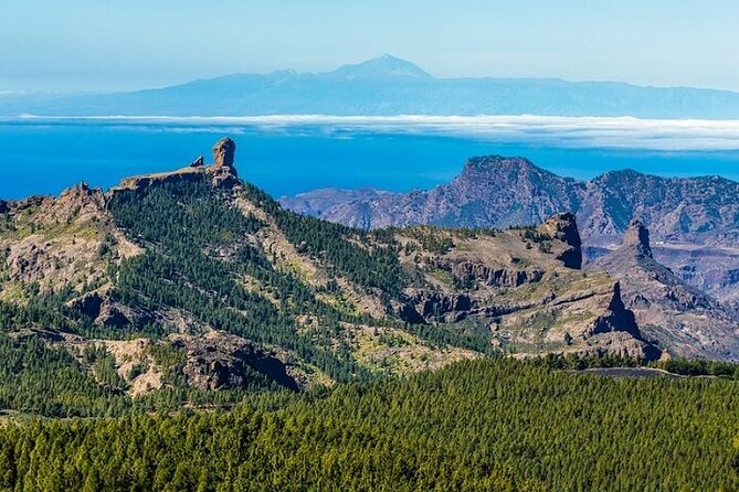 Tour to Arucas, Teror, Aloe Vera farm - Highlights - A full-island day beyond the resort coast