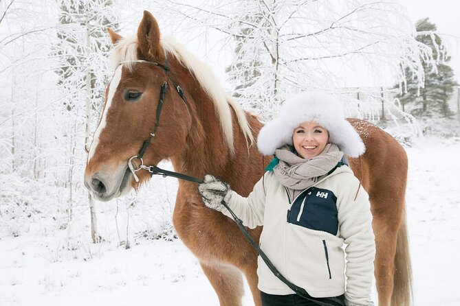 Tour to Aurora Horses Farm with Charming Finnhorses - Meeting Finnhorses near Santa Claus Village