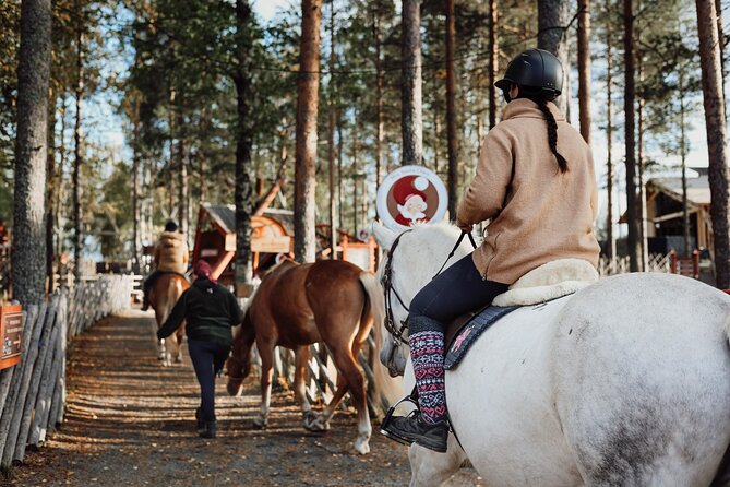 Tour to Aurora Horses Farm with Charming Finnhorses - A closer look at the horse-care portion