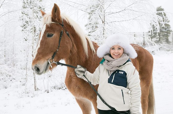 Tour to Aurora Horses Farm with Charming Finnhorses - The short ride is an introduction, not a horseback tour