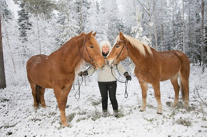 Tour to Aurora Horses Farm with Charming Finnhorses - Is $42.34 a fair price?