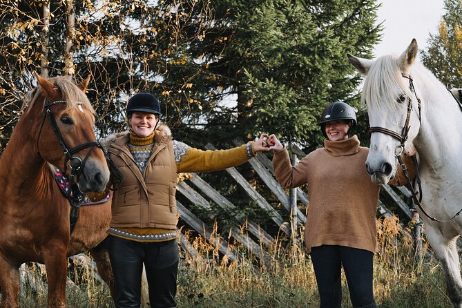 Tour to Aurora Horses Farm with Charming Finnhorses - Practical details before you go