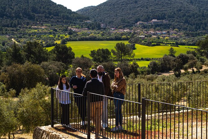 Tour to olive grove and olive mill, oil tasting and snack - Arriving at Finca Treurer near Algaida