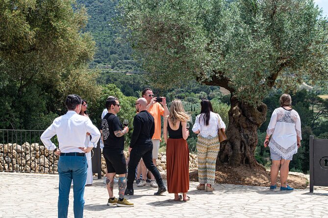 Tour to olive grove and olive mill, oil tasting and snack - A relaxed meal with time to ask questions