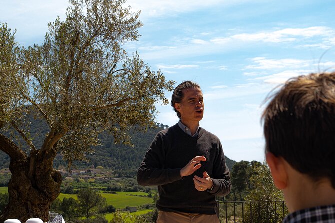 Tour to olive grove and olive mill, oil tasting and snack - How the $59.64 price measures up
