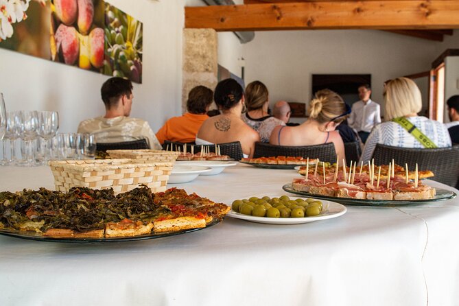 Tour to olive grove and olive mill, oil tasting and snack - Weather, timing, and cancellation details