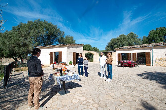 Tour to olive grove and olive mill, oil tasting and snack - Tasting the oils with Mallorcan food