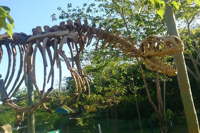 Tour to the Hacienda Nápoles Theme Park - The water attractions: Acuasaurus and the park’s wet side