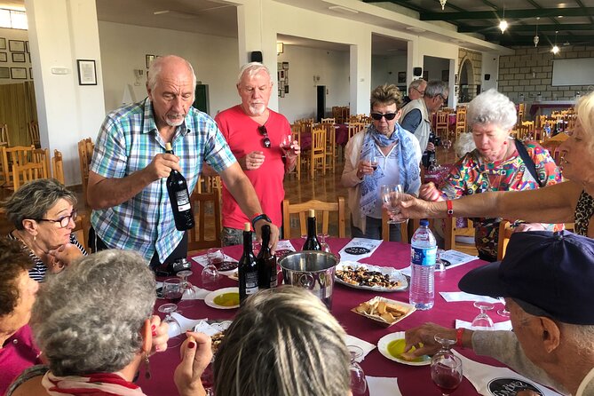 Tour Visiting banana plantation and winery in Tenerife - Inside Finca Las Margaritas and Tenerife’s banana culture