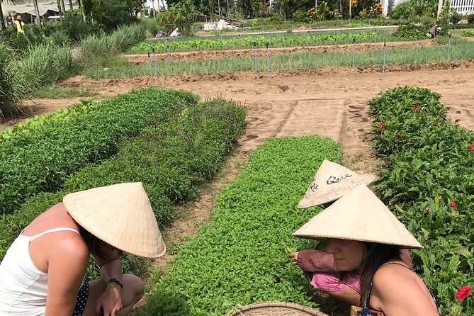 Tra Que Village Cycling And Farming - Making traditional rice paper