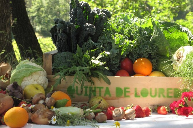 Traditional Cooking Class, Farm Tour & Lunch in the Douro Valley - Key points at a glance