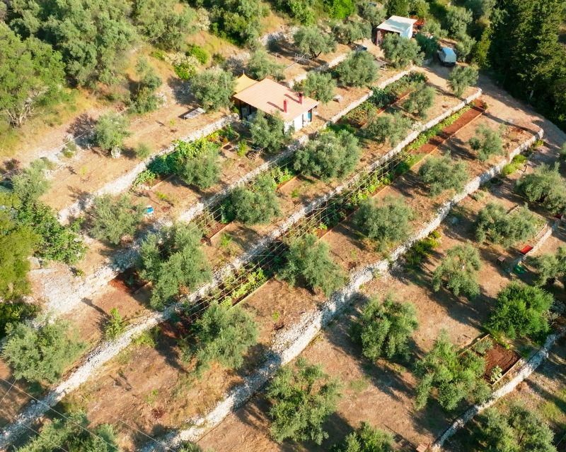 Traditional Greek Cooking Class @ Lefkada Micro Farm - What the $152.58 price includes in value