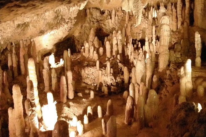 Treasures of Barbados Cave and Plantation Sightseeing Tour - Key points at a glance