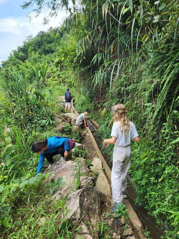 Trekking Sapa 1 Day With Local Guide, Terraced Rice Fields - Key points to know before booking